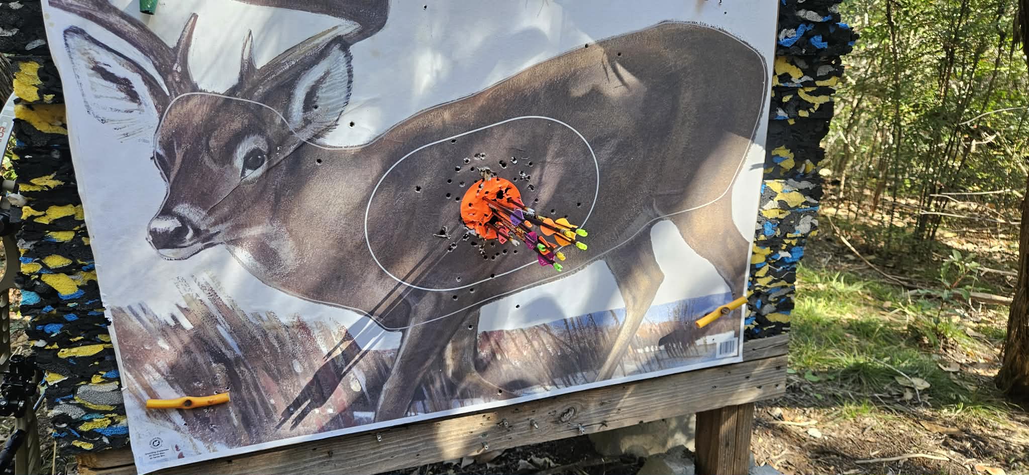 Group of arrows on the whitetail target from Jeremy Balderrama, Bridger Deaton, Courtney Eberts, Andre Pounds and Tanner Clem